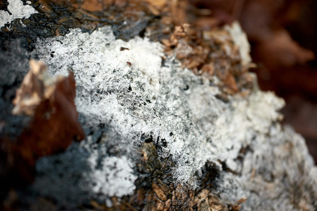 201217 - rik makes - decomposing cabinet #12 - 0120_1600px