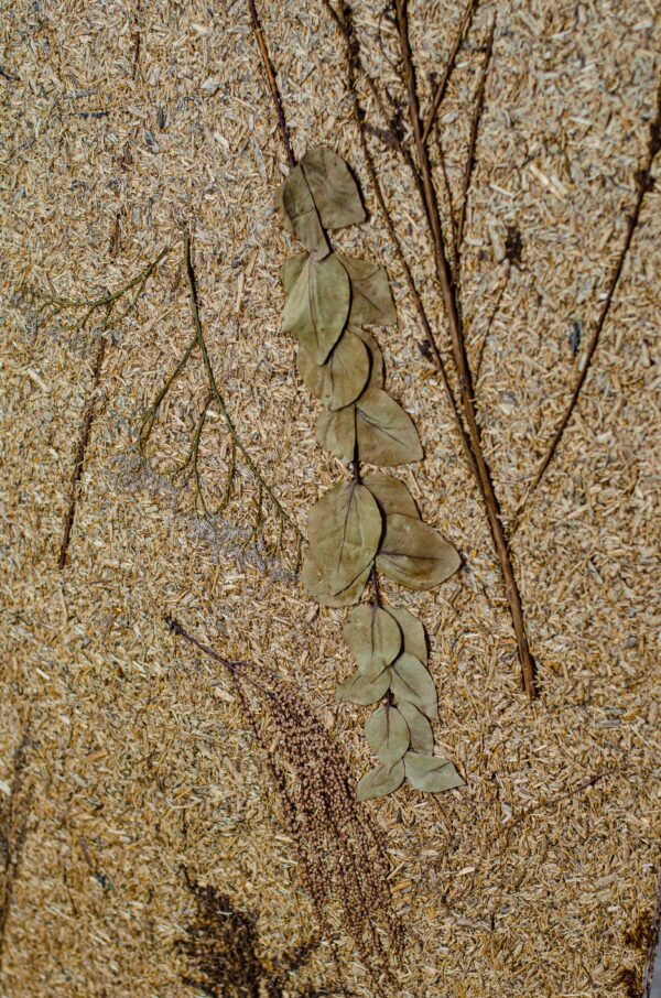 Seasonal Combination - Image 3