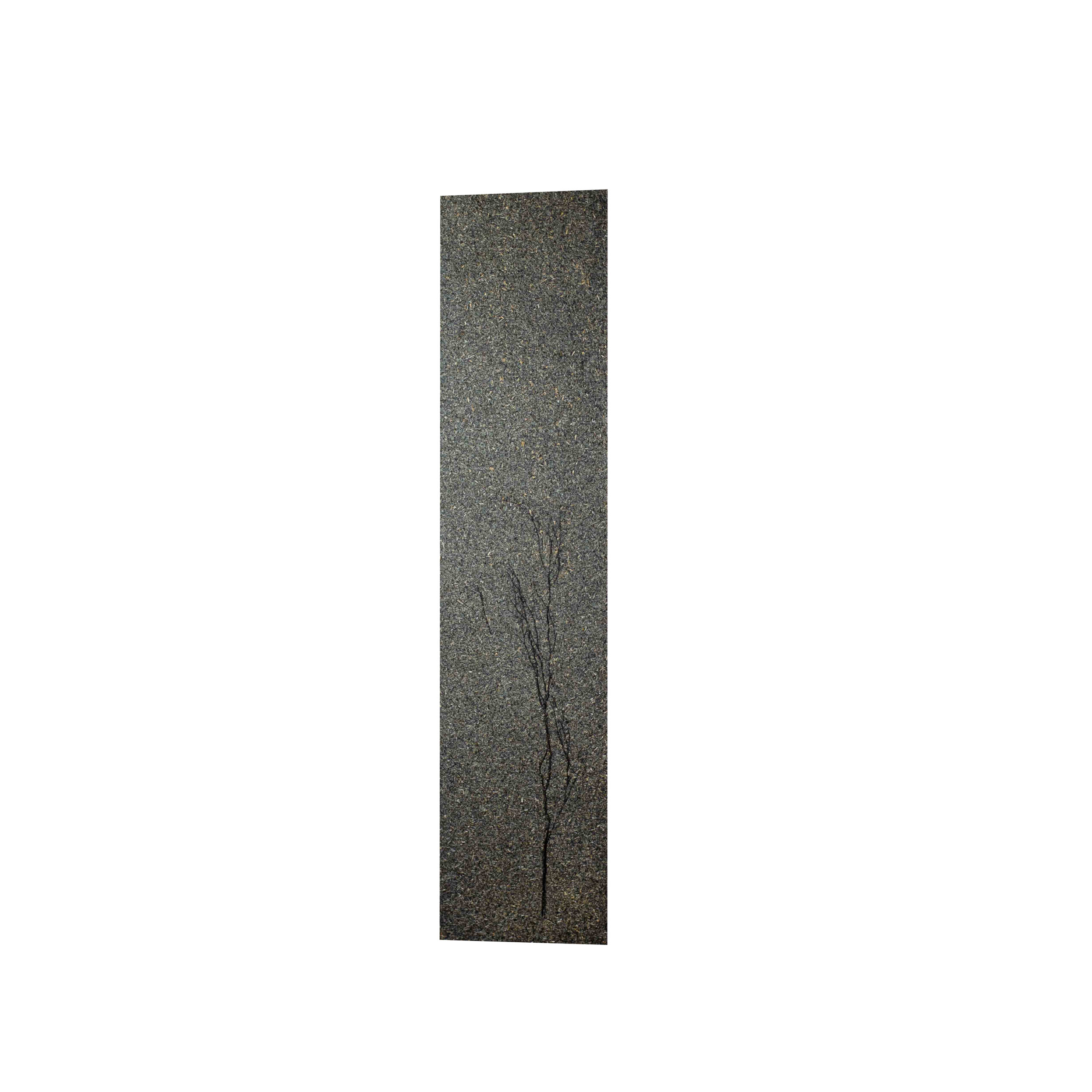 Black Branch