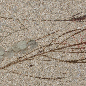 Seasonal Combination