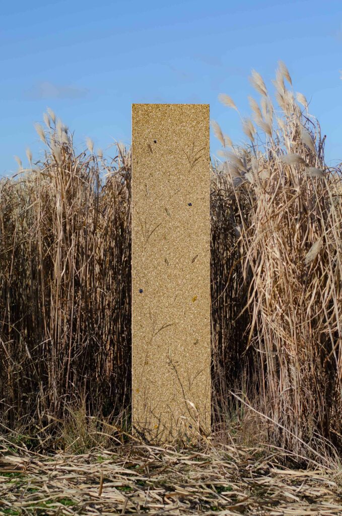 Compostboard-CalmAutumn-Hemp-IntheField-2026-WEB-4