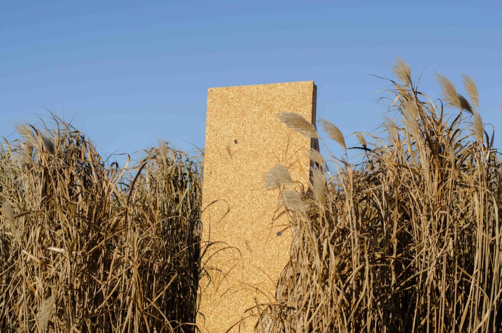 Compostboard-CalmAutumn-Hemp-IntheField-2026-WEB-5