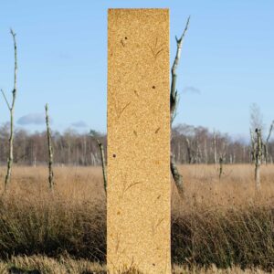 Calm Autumn 2025-2026