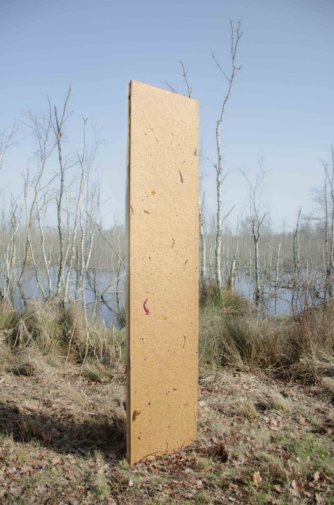 Compostboard-MiscanthusinWild-2026-WEB