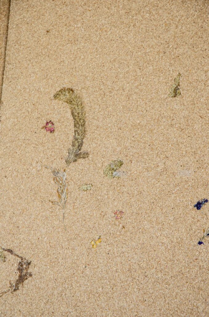 Drifting Dune Bouquet Partikal Compostboard-Texture-and-Designs-2026-WEB-89