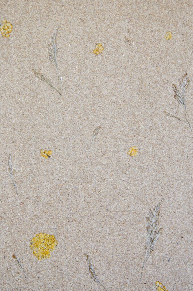 Drifting Dune Overall Composition Partikal Compostboard-Texture-and-Designs-2026-WEB-103
