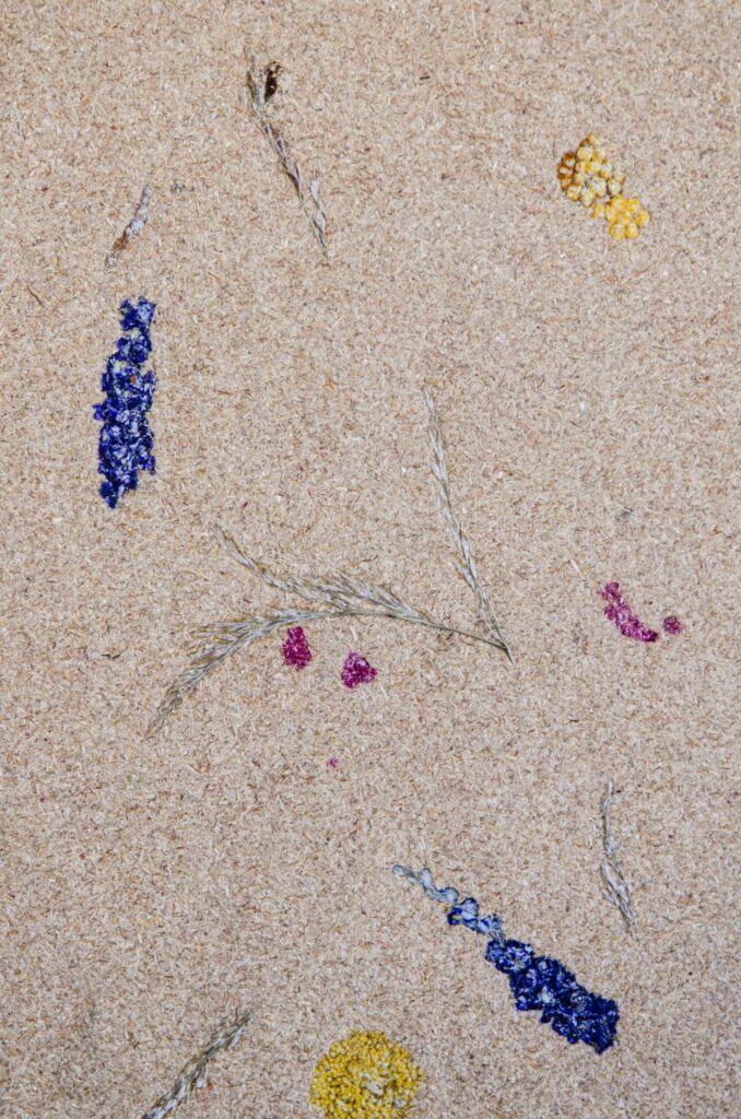 Drifting Dune Overall Composition Partikal Compostboard-Texture-and-Designs-2026-WEB-96