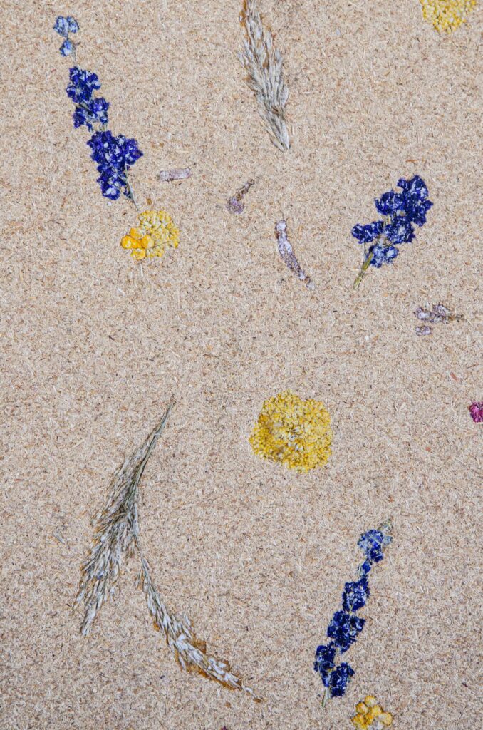 Drifting Dune Overall Composition Partikal Compostboard-Texture-and-Designs-2026-WEB-97